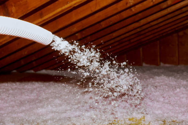 Best Eco-Friendly Insulation in Forest Meadows, CA
